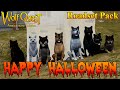 Roadset halloween  wolfquest anniversary edition