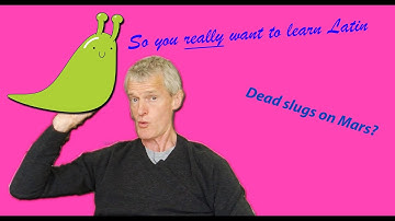 Latin 3 Lesson 20: Imperfect Subjunctive | So You Really Want to Learn Latin