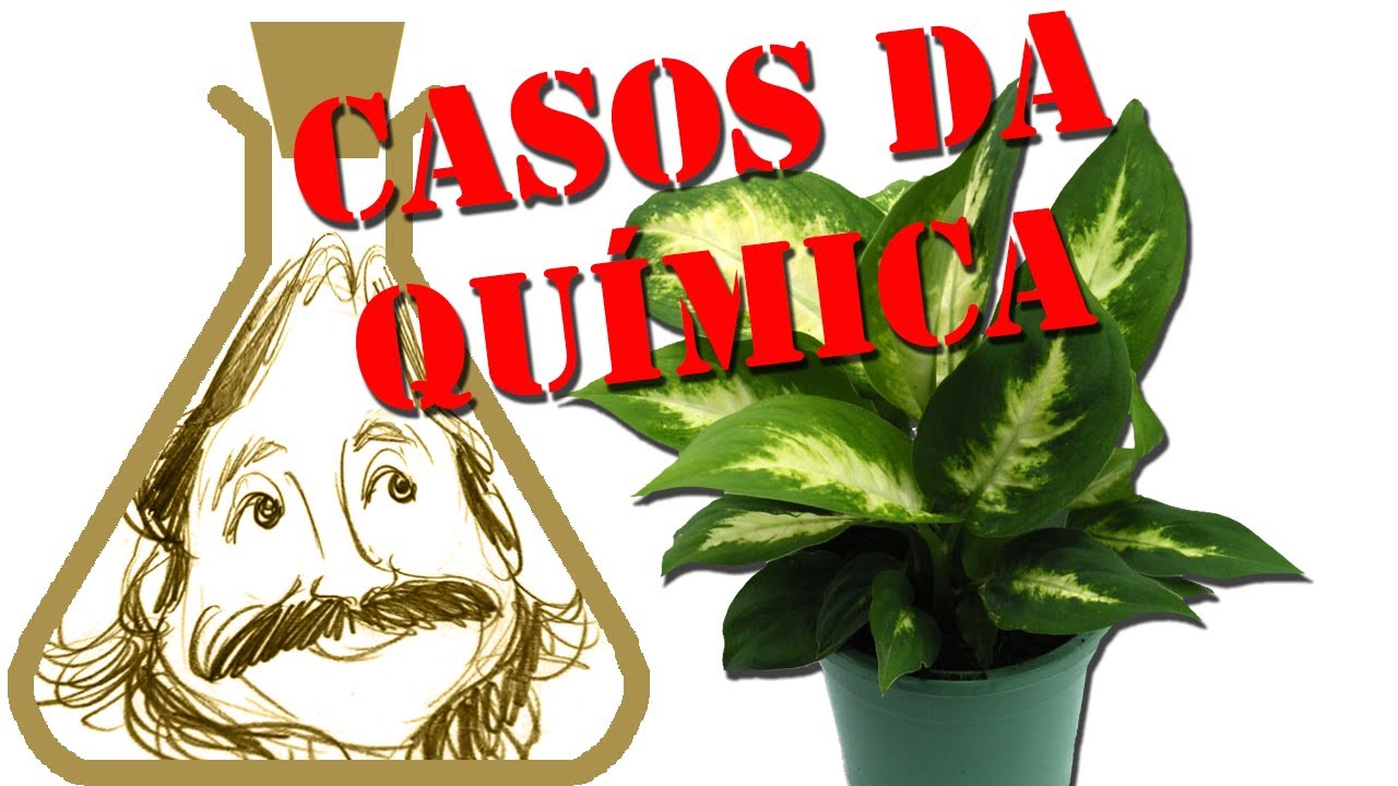 Casos Da Quimica 005 Por Que O Comigo Ninguem Pode E Toxico