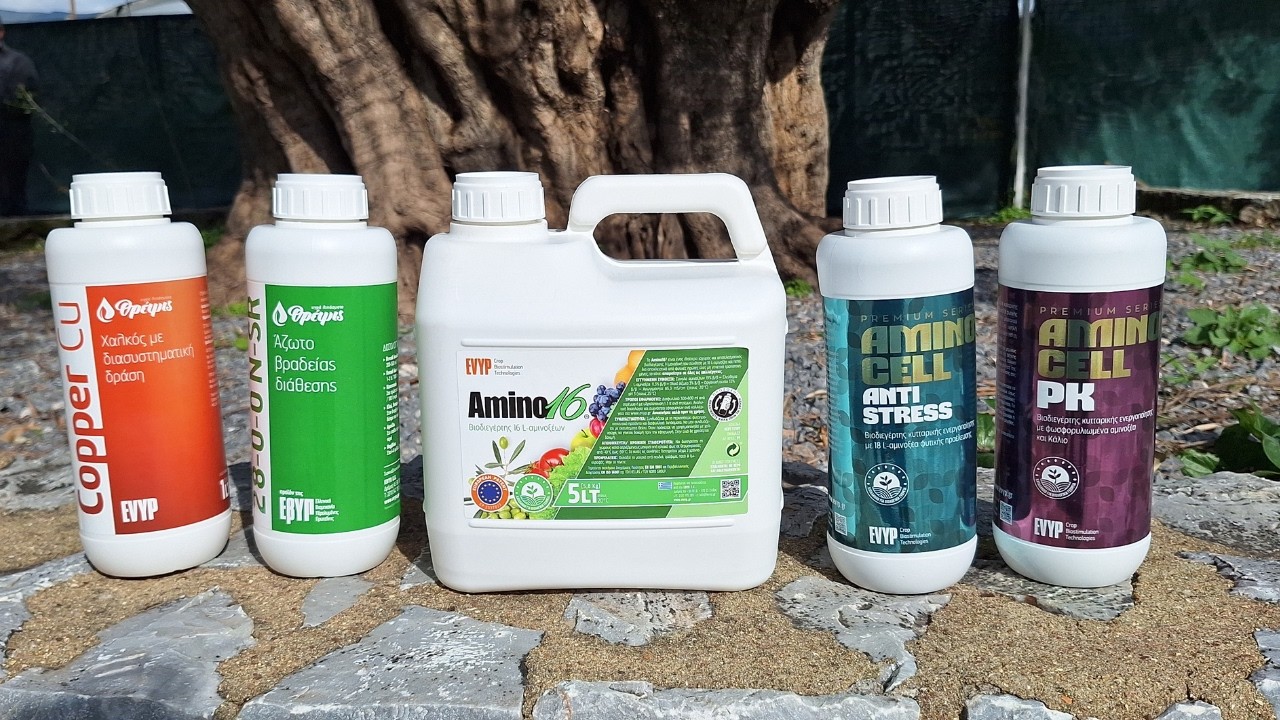 Ελιά -  1η εφαρμογή: Η πρόταση της EVYP που κάνει τη διαφορά!