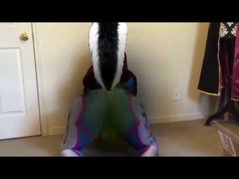 Nerf This' Skunk Re-Edit - YouTube.