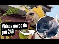 Vdeos novos de jau 249