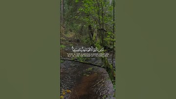 القرآن الكريم 🌸حياة القلوب 💕 #quran #المصحف #kuraan #راحة_نفسية