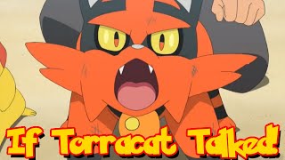 If Pokémon Talked Torracat Will Never Lose Against Incineroar Again