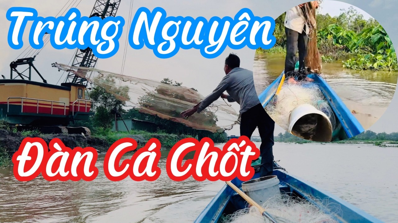Một Buổi Quăng Chài Không Ngờ Trúng Nguyên Đàn Cá Chốt Nhiều Khủng Khiếp