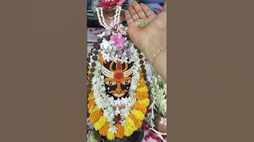 शिवलिंग पर 108 मूंग के दानेमुंग के दाने #pradeepmishraji #shivmahapurankatha #shivling #mhadevbhakt