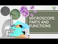 Microscope Mastery: Unraveling Magnification and Resolution in Biology