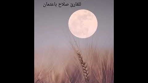 سورة نوح للقارئ #صلاح_باعثمان