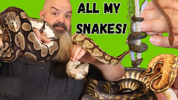 Complete Snake Tour with Updates on EVERYONE