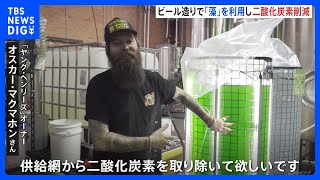 20兆個の“藻”でビール醸造　オーストラリアの環境にやさしい吸収装置｜TBS NEWS DIG