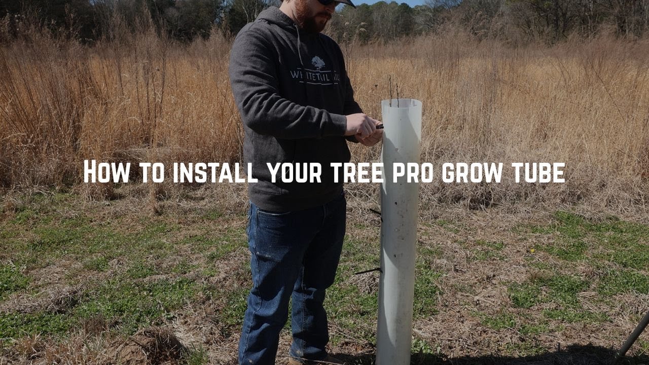 How To Install Your Tree Pro Grow Tube - YouTube