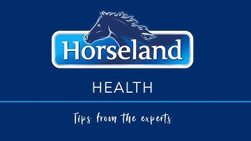 How to Worm Your Horse