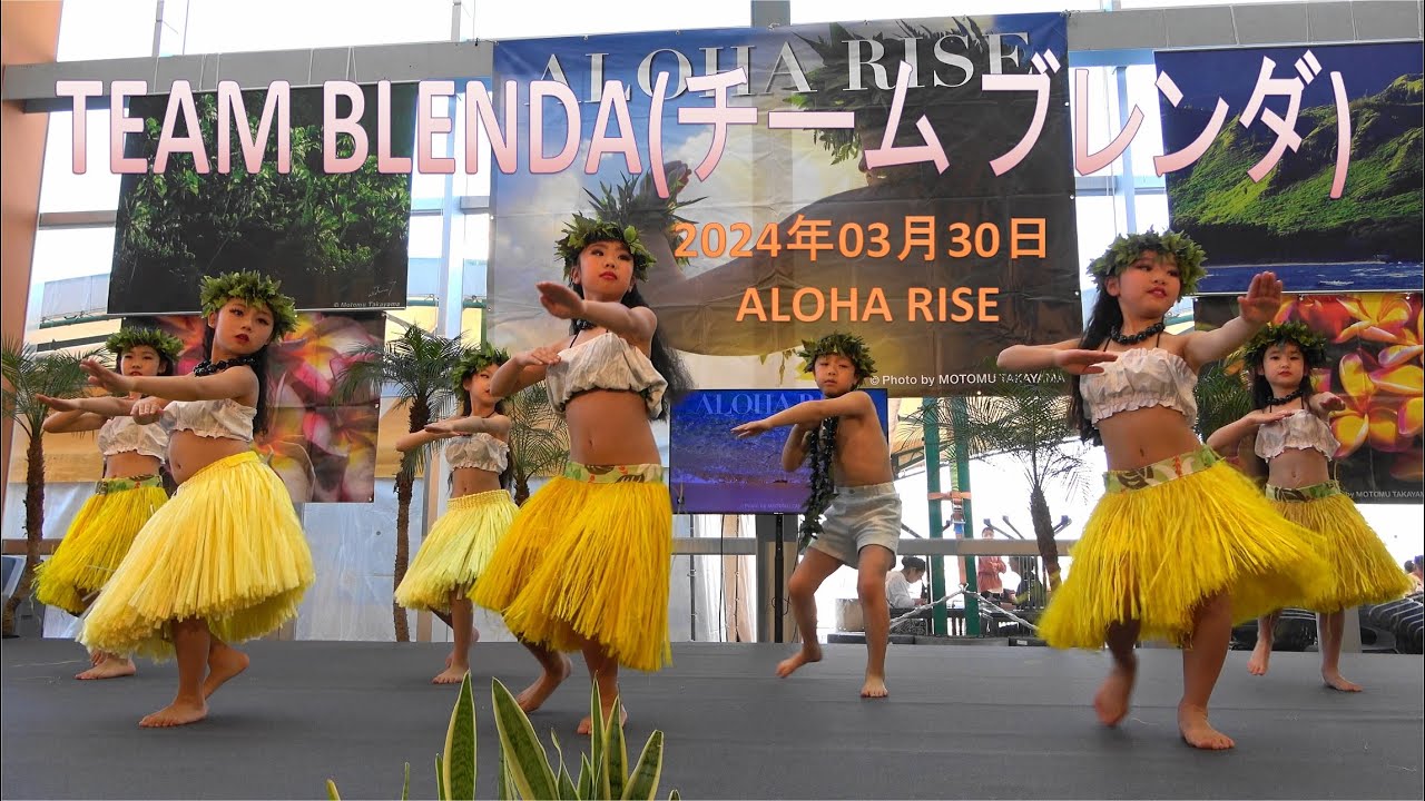 TEAM BLENDAチーム ブレンダ