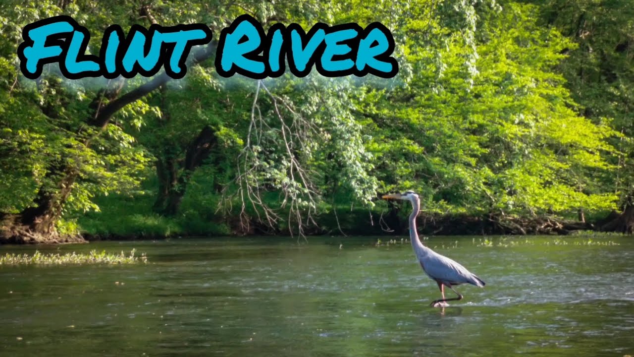 Flint River // Oscar Patterson Rd to Winchester Rd 5.5 Miles YouTube