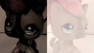 LPS Echo music video (seizure warning!)