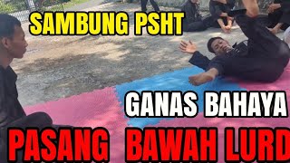SAMBUNG PSHT GANAS PASANG BAWAH PSHT BENGKULU RAYON PINANG MAS MENJELANG 1 ABAD TERATE EMAS #psht