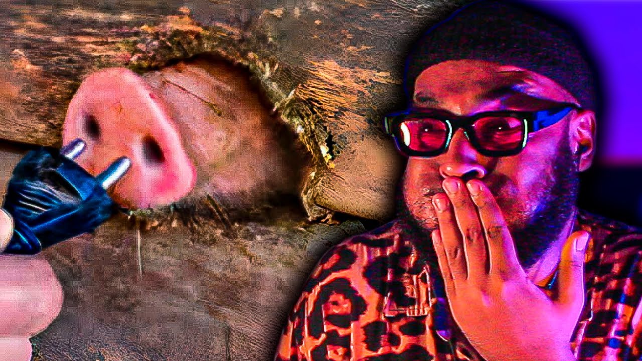 tente não rir IMPOSSÍVEL