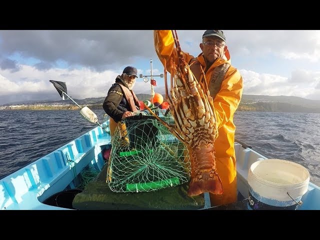 Fishing Lobster / Pesca de lagosta, Pesca de la langosta,  ロブスター釣り 龍蝦釣魚     صيد سرطان class=