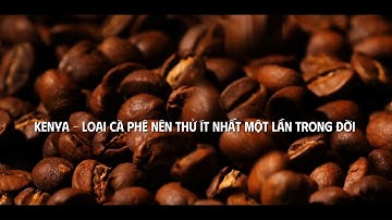 Vì Sao Kenya Luôn Thu Hút Người Yêu Cà Phê? | Khám Phá Cùng TEEMAY