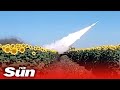 Ukrainian troops shoot down Russian drone amid sunflower fields