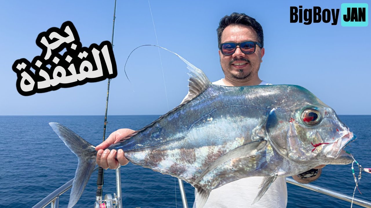 صيد القنفذه  تاني مره