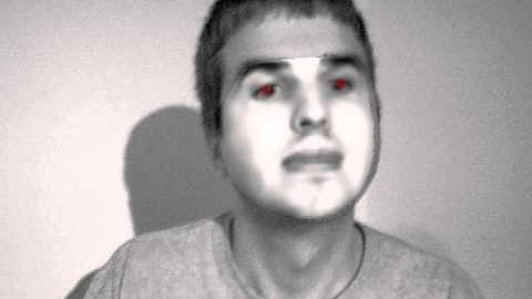 Active Appearance Models in Action