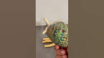 #abalone shell #meditation kit