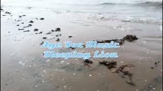 Aye See Music Sleeping Lion Feels Right