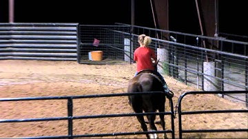 Snort N Avenger - Avery - 11/7/12 sorting practice - warm up - turning around - Valley View Ranch