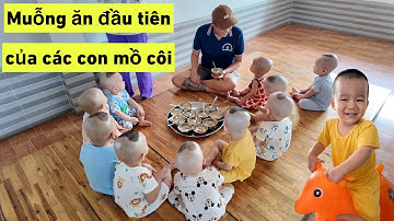 Những muỗng ăn dặm đầu tiên của các con mồ côi tại Mái Ấm Đức Quang | #tiktok #chuamocoi #dũngbánhmì