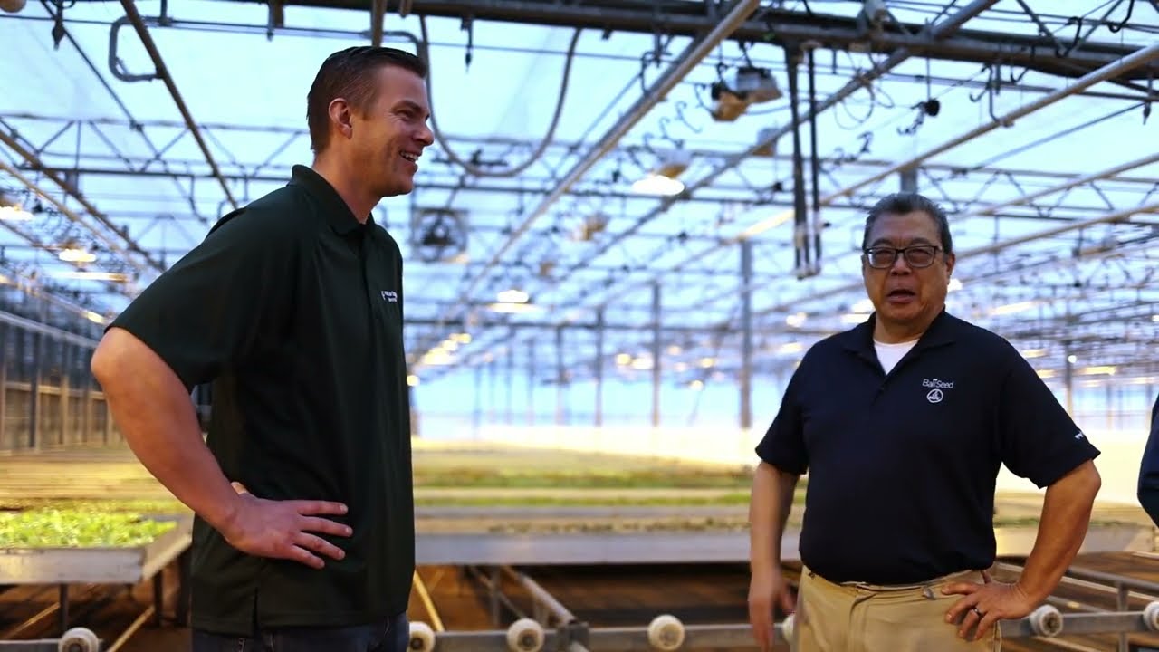 Wholesale Greenhouse Spring Plants in the Pacific Northwest - Van
