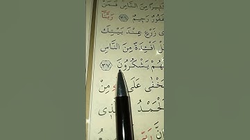 سورة ابراهيم الأية 37 إلى 38 القارئ سعد الغامدي #قرآن_كريم