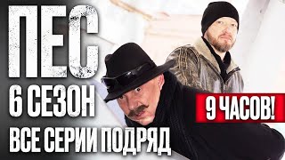 Сериал Пес 6 Сезон Полный 6 Сезон Все Серии Подряд 1 10 Пес 2023 Часть 1