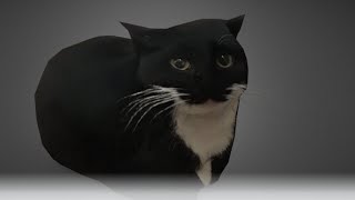 Maxwell the Cat Theme 3 hour by  KiBep_OpeLLIek 71,521 views 1 year ago 2 hours, 59 minutes