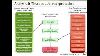 Translating Next-Gen Sequencing from the Lab to the Clinic: Challenges and Solutions