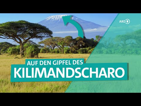 Video: Kilimanjaro. Afrika, Kilimandscharo. Der höchste Berg Afrikas