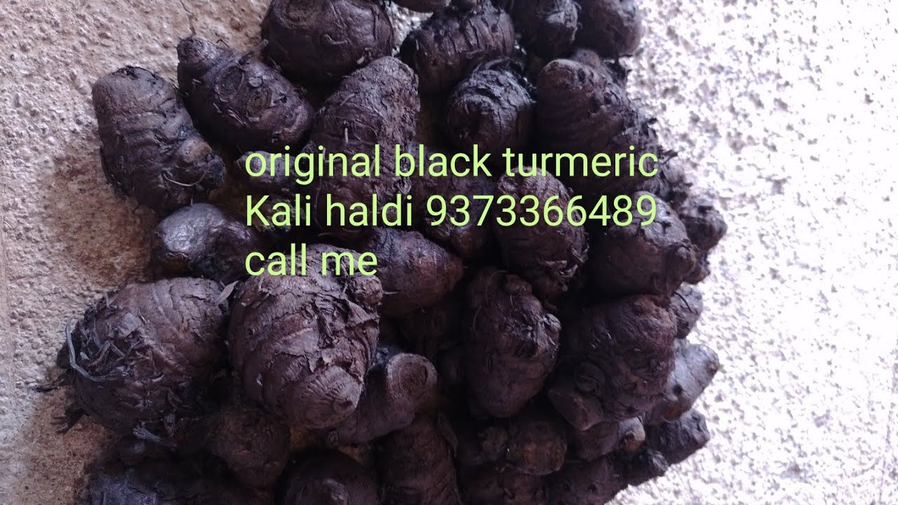 Original black turmeric Kali haldi 6354359486 call me YouTube