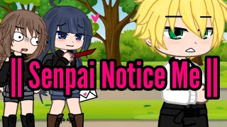 || Senpai, Notice Me ! || Miraculous but the Anime AU