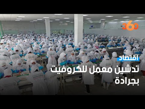 تدشين وحدة صناعية لمعالجة الكروفيت بجرادة ستوفر ألف فرصة عمل