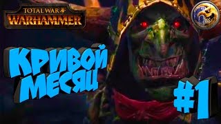 Total War: Warhammer - Кривой Месяц - ПРОХОЖДЕНИЕ #1Долгий путь домой. Total War: Warhammer - Кривой Месяц - ПРОХОЖДЕНИЕ #1Долгий путь домой.