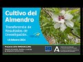 Cultivo del Almendro. Transferencia de resultados de investigación - Webinar 18feb2021