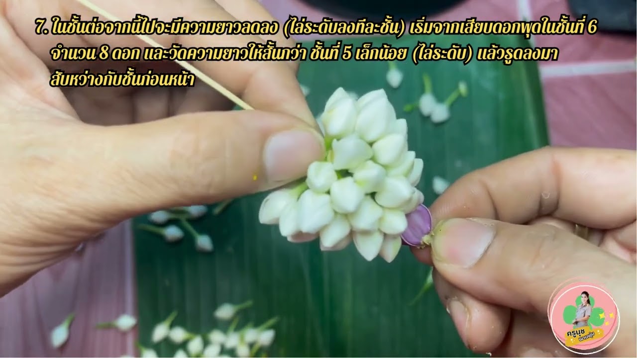 ขั้นตอนการร้อยมาลัยตุ้ม (ยอดพุ่ม)