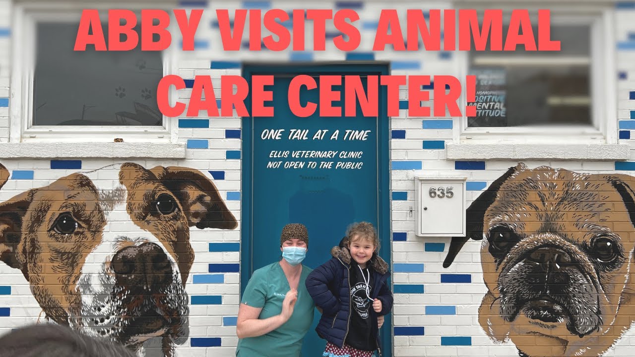Pen Rescue Center Abby Visits a Pet Rescue Center - YouTube