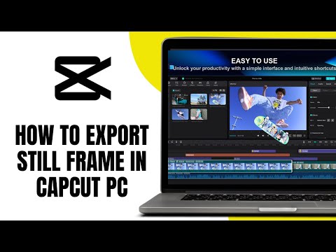 How To Export