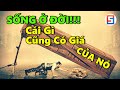 Sống Ở Đời ! cái gì cũng có GIÁ của Nó ! [Bài Học Thâm Sâu Buốt Não]