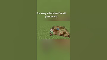 1 sub= 1 me planting wheat #herobrine #edit
