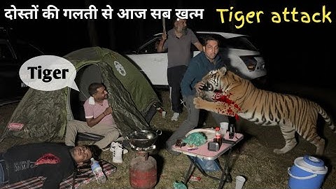 Wild tiger crashes our Camping | Close encounter gone wrong Night Camping in jungle Camping video