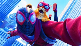 O NOVO HOMEM ARANHA com ROUPA DE GATO!!! - Spider-Man Miles Morales