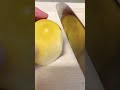 How To Peel Golden Kiwi Fruit 🥝🥝#asmr #satisfying #youtubeshorts #shorts