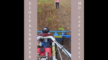 SOYABEAN CUTTING MACHINE- 9981817652